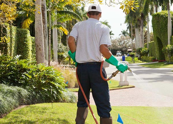 About Springville UT Pest Control Pros